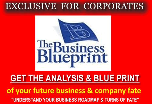 business natal chart