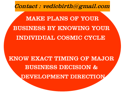 business natal chart